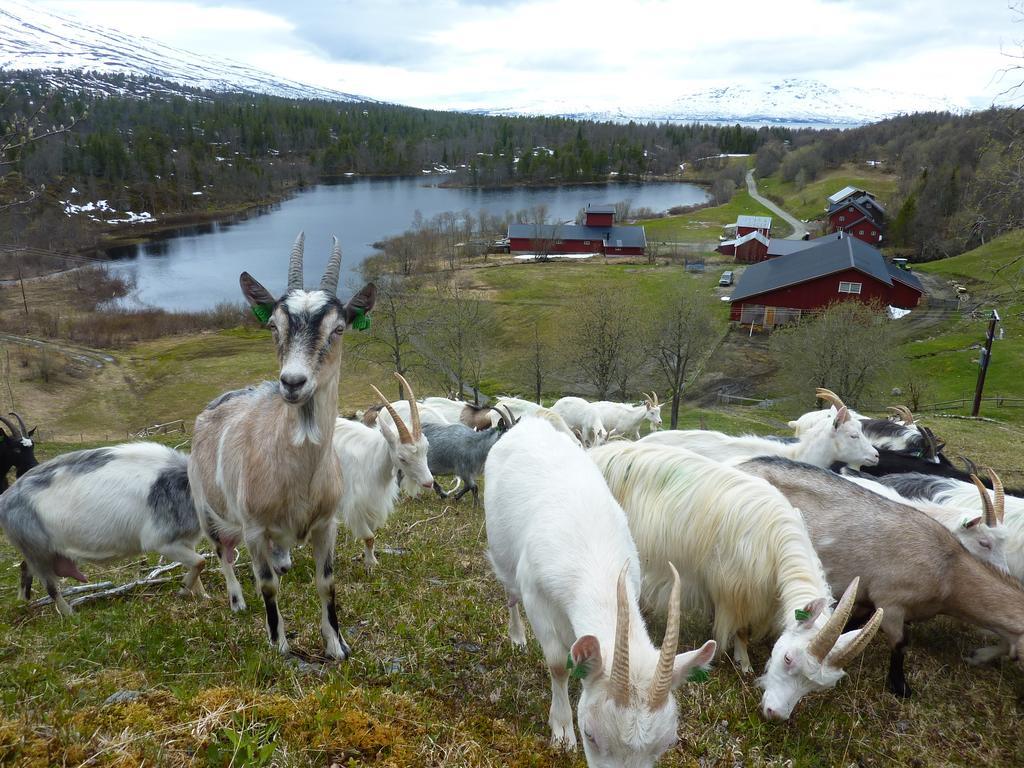 Saeterstad Gard Varntresk Esterno foto