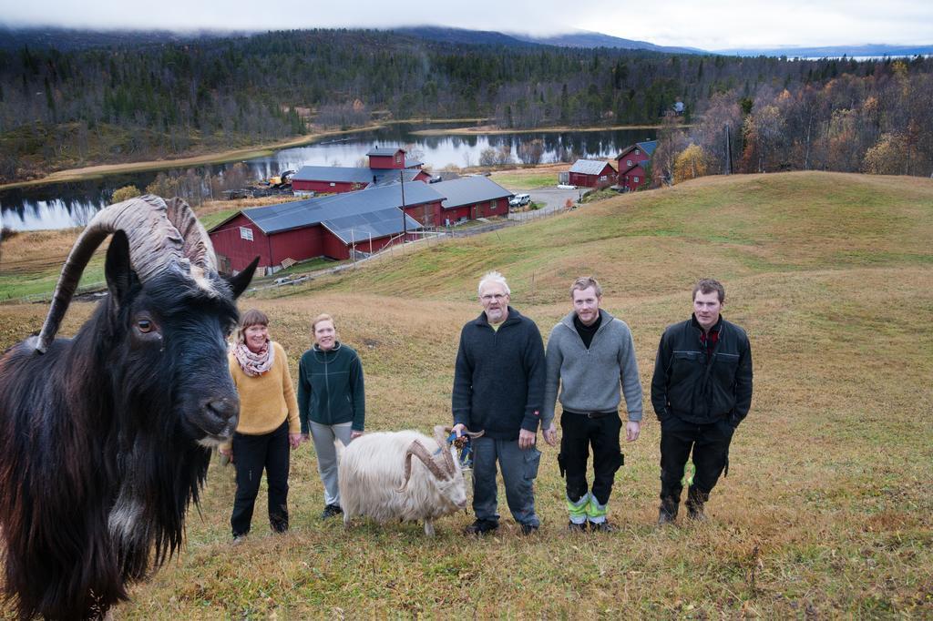 Saeterstad Gard Varntresk Esterno foto