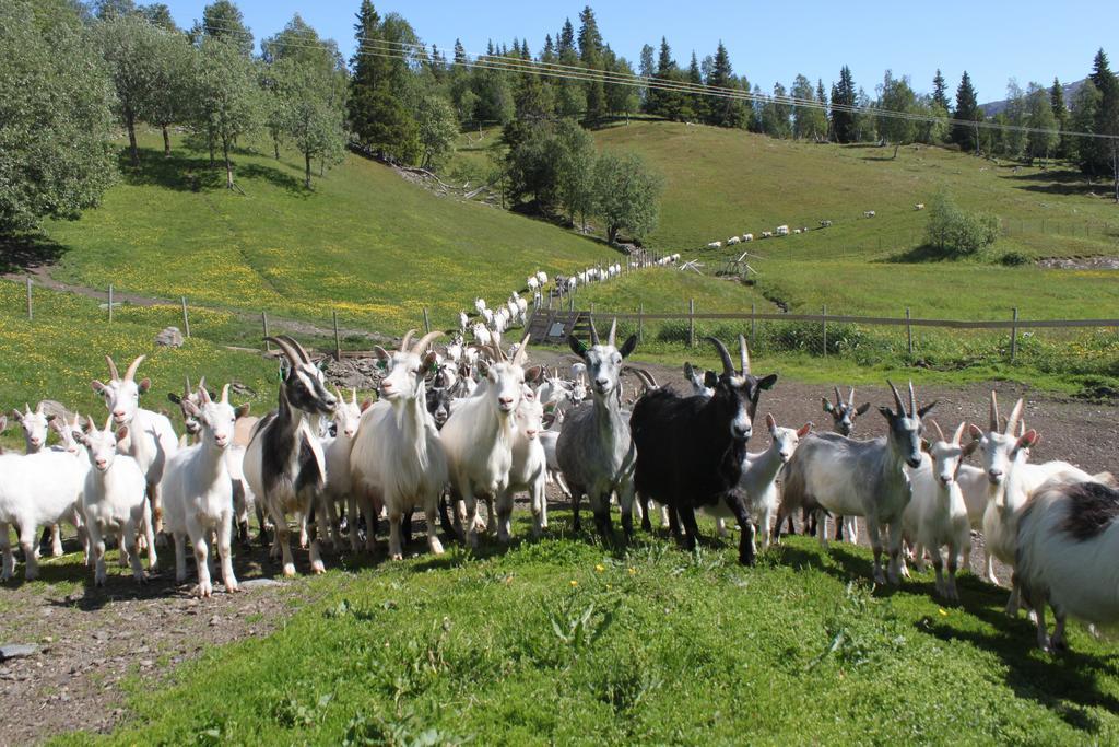 Saeterstad Gard Varntresk Esterno foto